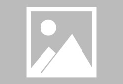 包含赛后本菲卡刷新队史纪录：意甲节点到来；管理层满意；训练强度明显提升的词条